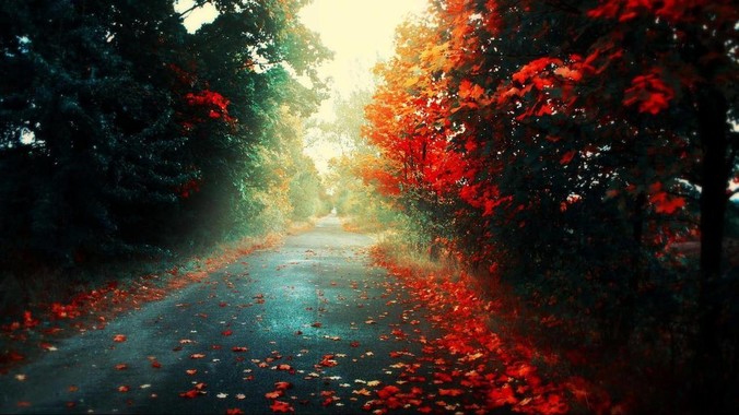 /detail/210.html